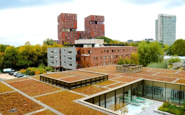 Groene daken op een groot gebouwencomplex