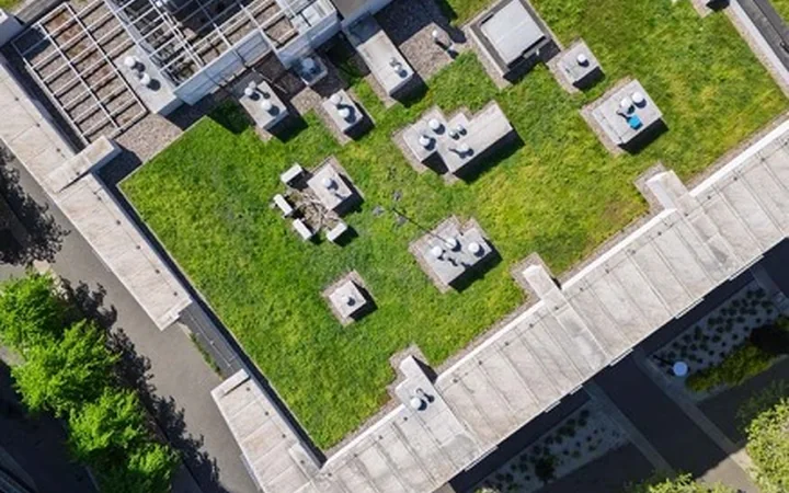 Groen dak op een hoog kantoorgebouw