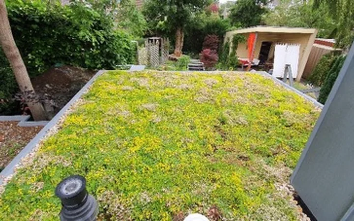 Groen dak op een kleine aanbouw