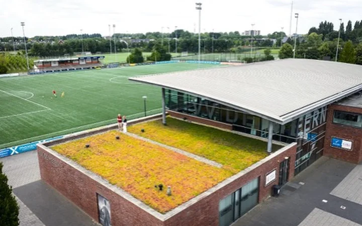 Groen dak op een sportgebouw